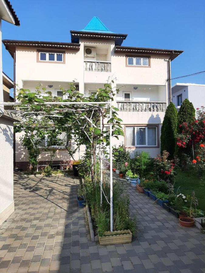 Vila Andra Costineşti Exterior foto