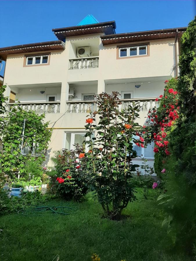 Vila Andra Costineşti Exterior foto