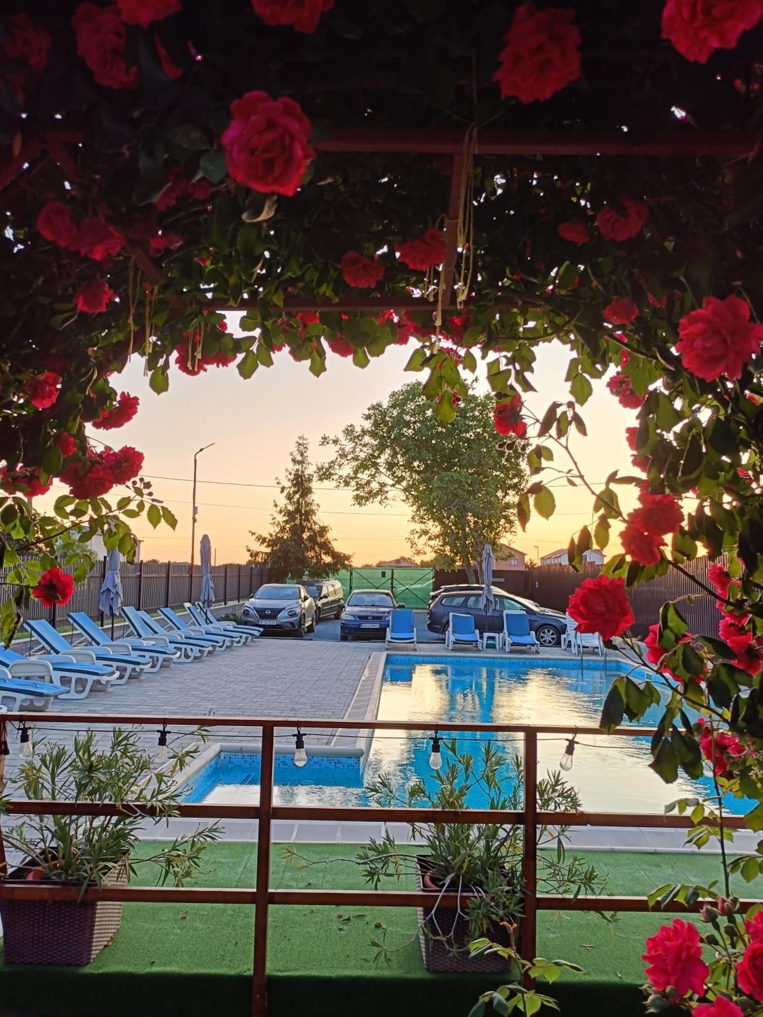 Vila Andra Costineşti Exterior foto